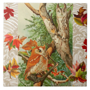 OWLS ONDER DALLEN IN WOODLAND TEGELTJE