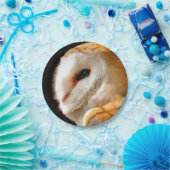 OWLS PAPIEREN BORDJE (Feest)