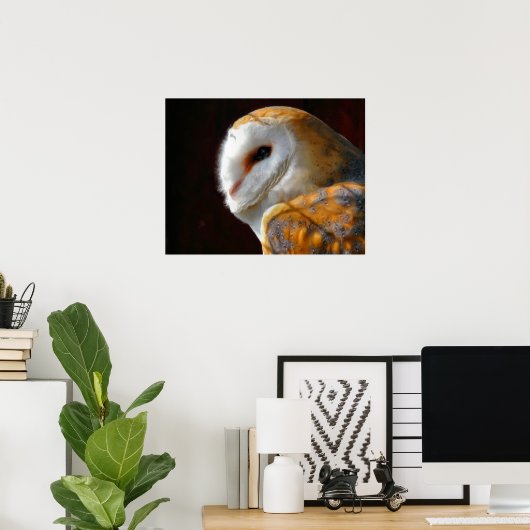 OWLS POSTER (Thuiskantoor)