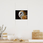 OWLS POSTER (Keuken)