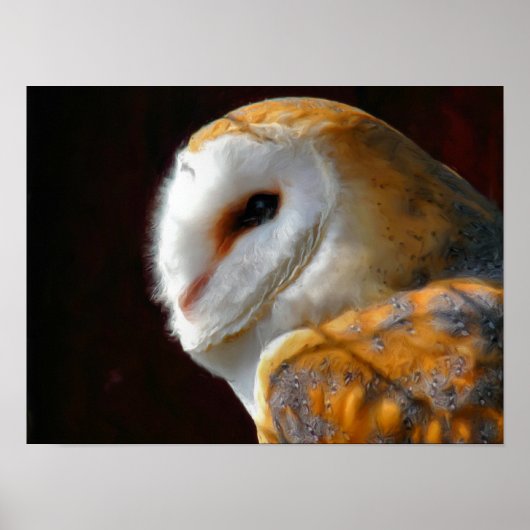OWLS POSTER (Voorkant)
