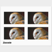 OWLS RECHTHOEKIGE STICKER (Vel)
