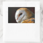 OWLS RECHTHOEKIGE STICKER (Tas)