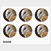 OWLS RONDE STICKER (Vel)