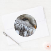 OWLS RONDE STICKER (Envelop)