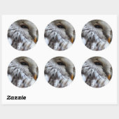 OWLS RONDE STICKER (Vel)