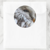 OWLS RONDE STICKER (Tas)