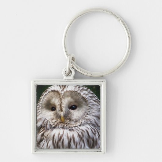 OWLS SLEUTELHANGER (Voorkant)