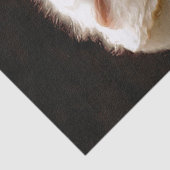 OWLS TISSUEPAPIER (Detail)