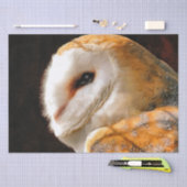 OWLS TISSUEPAPIER (Craft)