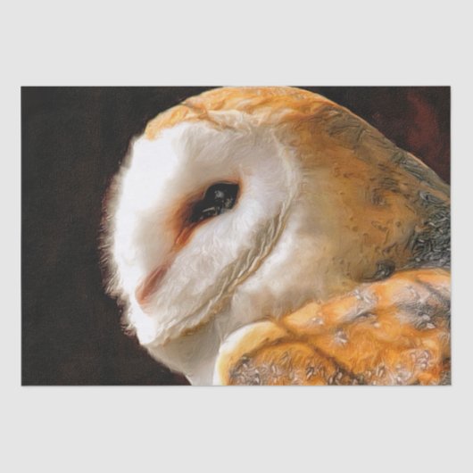 OWLS TISSUEPAPIER (Voorkant)