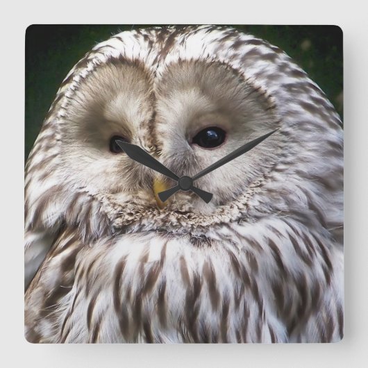 OWLS VIERKANTE KLOK (Voorkant)