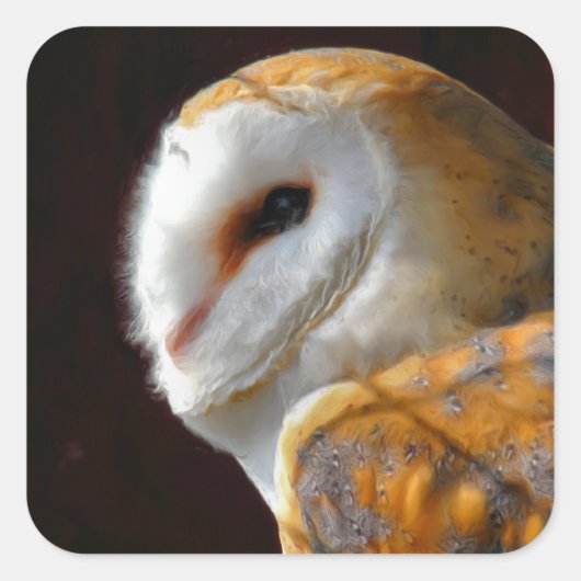 OWLS VIERKANTE STICKER (Voorkant)