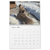 OWRAssist Love Rescues Kalender (Jan 2026)