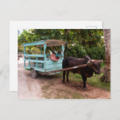 Ox Cart Briefkaart (Voorkant / Achterkant)