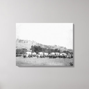 Ox Teams and Wagons in een vallei van de Zwarte Ze Canvas Afdruk