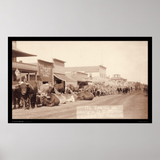 Ox Teams in Sturgis Dakota Territory SD 1887 Poster