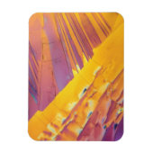 Oxaalzuurkristallen Magneet (Verticaal)