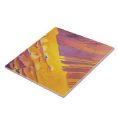 Oxaalzuurkristallen Tegeltje (Zijkant)