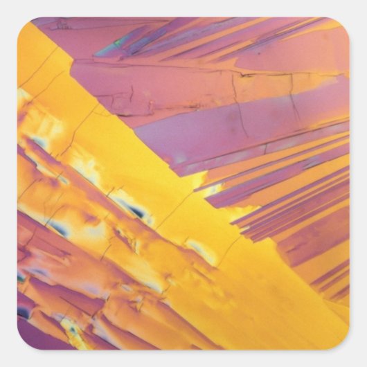 Oxaalzuurkristallen Vierkante Sticker (Voorkant)