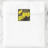 Oxalis Yellow-Flowered Houseplant Vierkante Sticker (Tas)