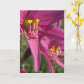 Oxblood Lily Kaart (Gele Bloem)