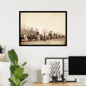 Oxen Freighting in the Black Hills SD 1887 Poster (Thuiskantoor)