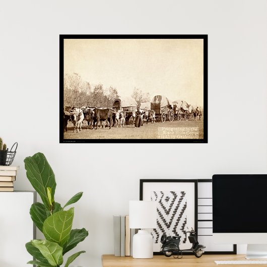 Oxen Freighting in the Black Hills SD 1887 Poster (Thuiskantoor)