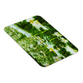 Oxeye Daisy Abstract Impressionisme Magneet (Rechterzijde)