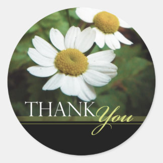 Oxeye Daisy Floral Bedankt Envelope Seals Ronde Sticker