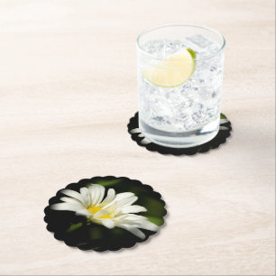 Oxeye Daisy Onderzetters gescand