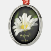 Oxeye Daisy Premier Round Ornament (Links)