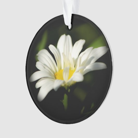 Oxeye Daisy Round AcrylOrnament Ornament (voorkant)