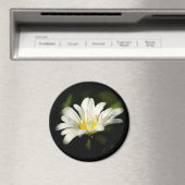 Oxeye Daisy Round Magnet Magneet (Insitu (Vaatwasser))