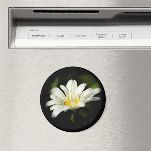 Oxeye Daisy Round Magnet Magneet (Insitu (Vaatwasser))