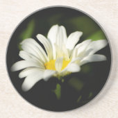 Oxeye Daisy Sandstone Onderzetter (Voorkant)