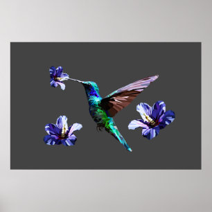 Oxford Grey Superbe Colibri/Hibiscus Poster