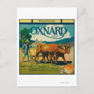 Oxnard Oranje LabelOxnard, CA Briefkaart