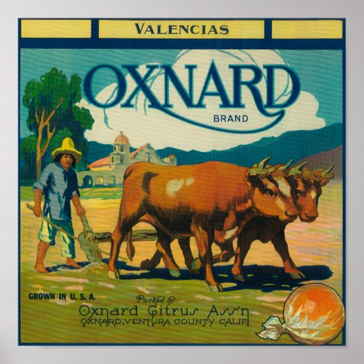 Oxnard Oranje LabelOxnard, CA Poster (Voorkant)