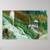 Oxone-Herfsten en Spring ViewShasta Springs, CA Poster (Voorkant)