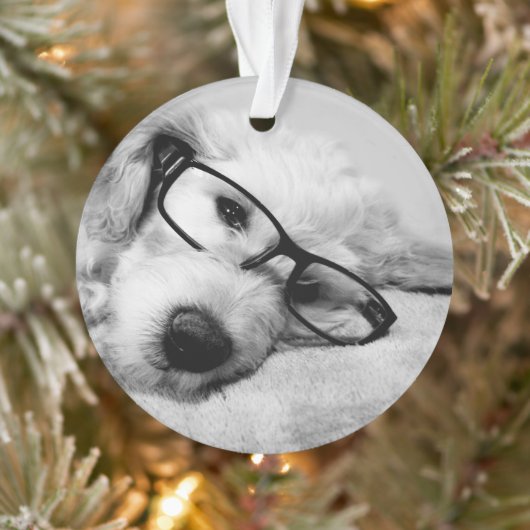 Oxyde d'or avec lunettes (Arbre)