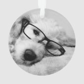 Oxyde d'or avec lunettes (dos)