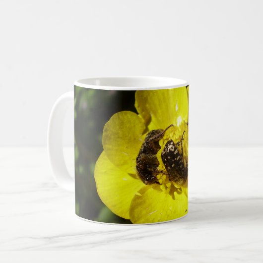 Oxythyrea Funesta Beetles Bug Mug (Devant gauche)