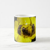 Oxythyrea Funesta Beetles Bug Mug (Centre)