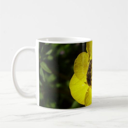 Oxythyrea Funesta Beetles Bug Mug (Gauche)