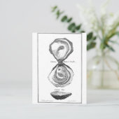 Oyster Animal Print Briefkaart (Staand voorkant)