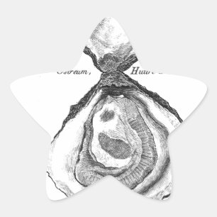  Oyster Animal Print Ster Sticker