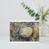 Oyster schelp briefkaart (Staand voorkant)