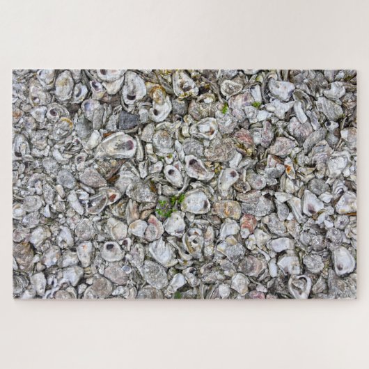 Oyster Shells, Apalachicola, Florida Legpuzzel (Horizontaal)