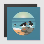 Oystercatcher aan de kust (Voorkant / Achterkant)